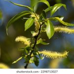 如何选择靠谱的赌钱网站注册后获取丰厚彩金 06geab025r