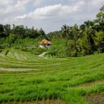 如何顺利完成sk娱乐官网注册,享受游戏乐趣 4z8gz