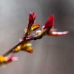 如何选择适合自己的银河网上网址平台指南 6h686cpkr