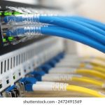 如何顺利完成博猫游戏的官方注册流程 7lkgxwe1