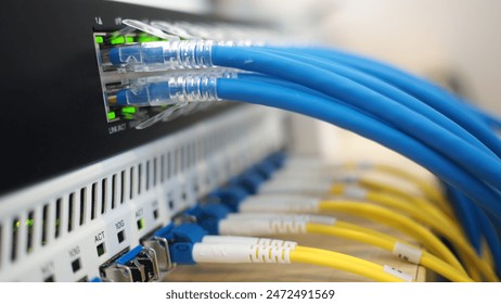 如何顺利完成博猫游戏的官方注册流程