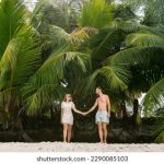 如何通过千亿官网app实现便捷的在线服务 zp0hz6fbi